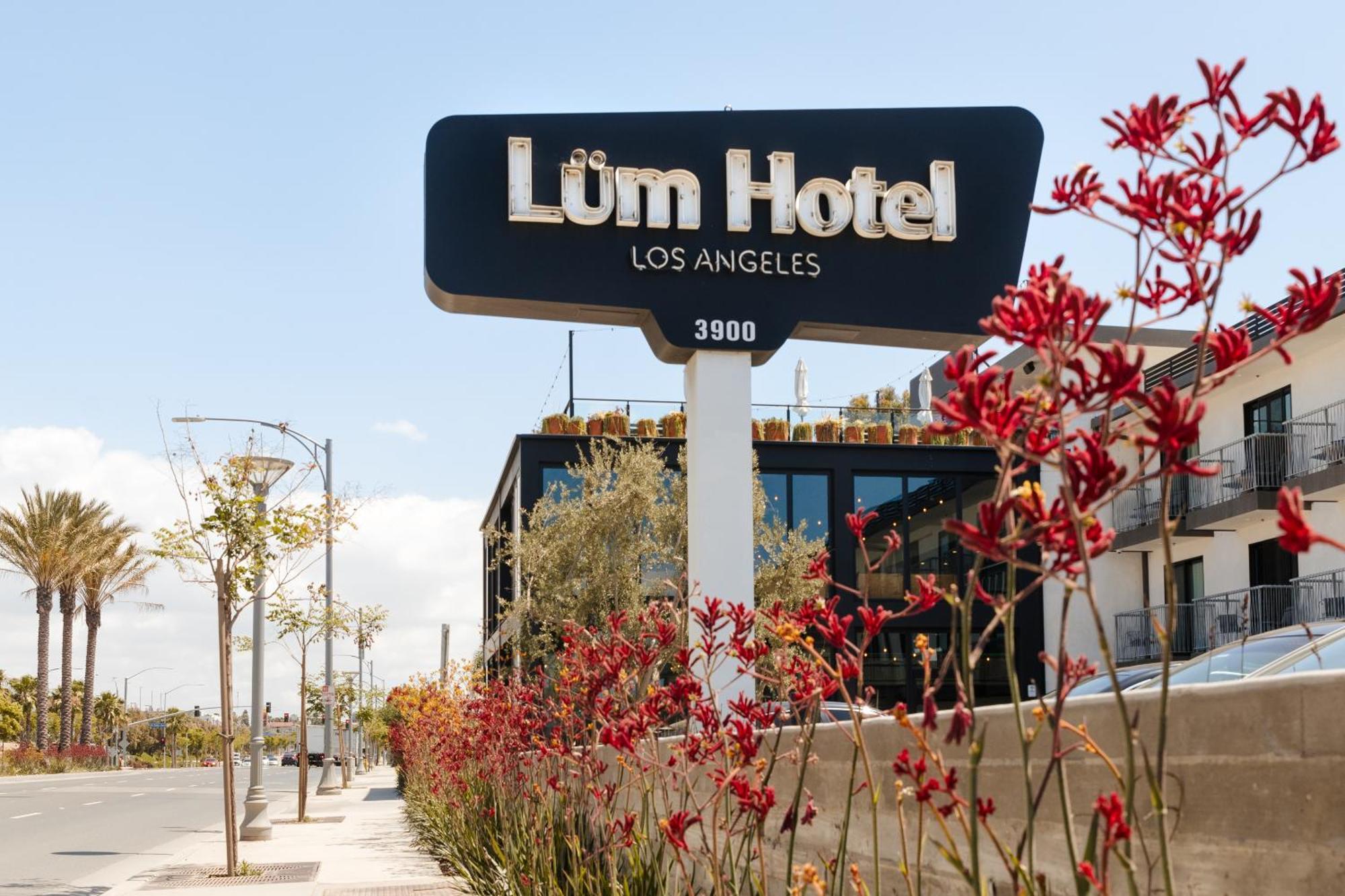 The Lum Hotel Los Angeles Stadium District Inglewood Exteriér fotografie